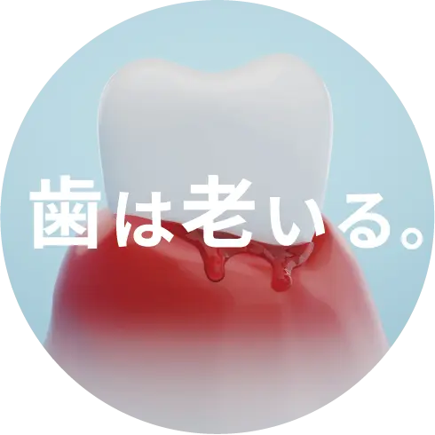 歯は老いる。