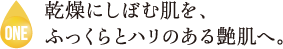 乾燥にしぼむ肌を、ふっくらとハリのある艶肌へ。