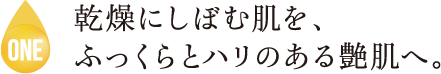乾燥にしぼむ肌を、ふっくらとハリのある艶肌へ。