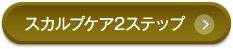 スカルプケア2ステップ