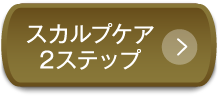 スカルプケア2ステップ