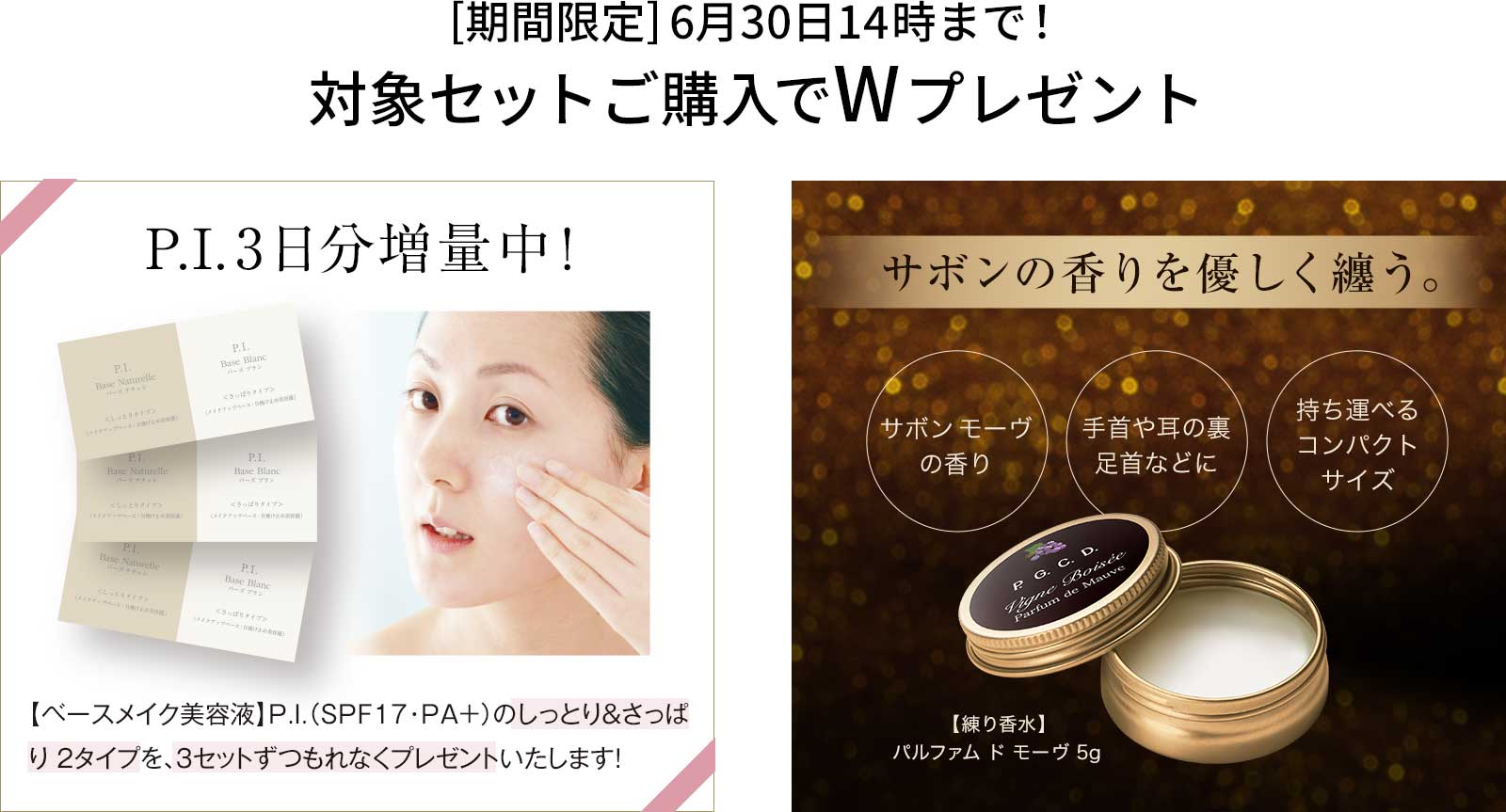[期間限定]6月30日14時まで！対象セットご購入でWプレゼント