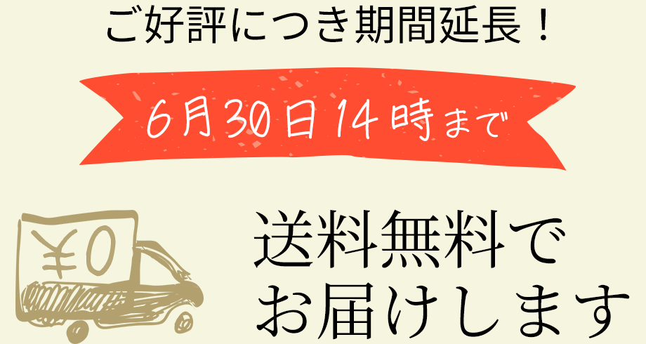 6月7日14時まで　送料無料でお届けします