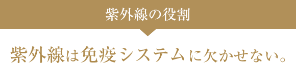 紫外線の役割 紫外線は免疫システムに欠かせない。