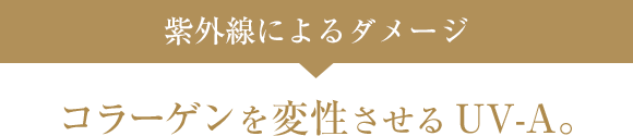 紫外線によるダメージ コラーゲンを変性させるUV-A。