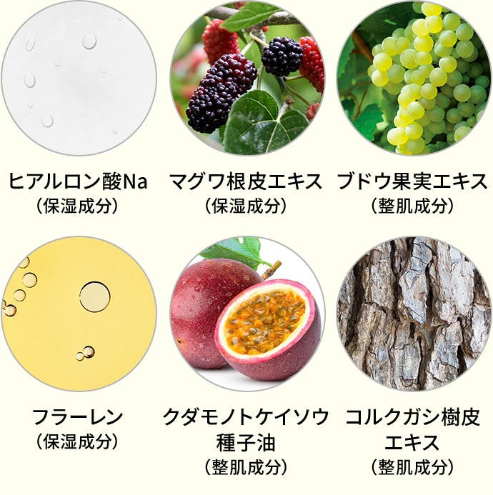 22種の成分