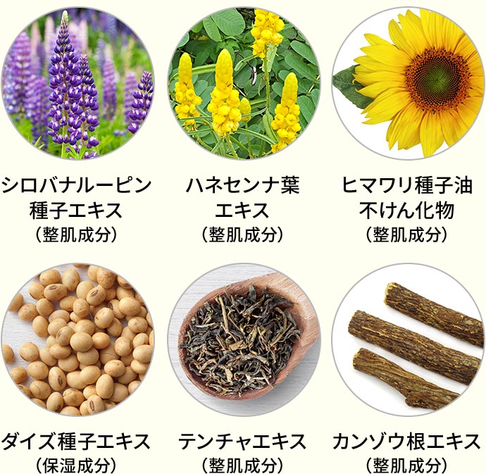 22種の成分
