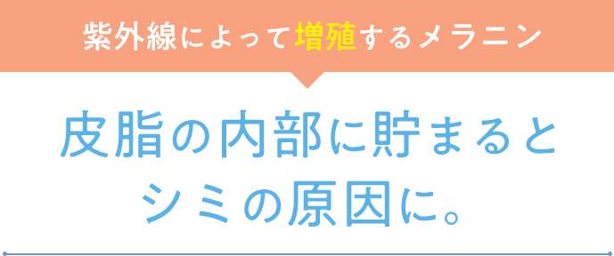 皮脂の内部に貯まるとシミの原因に。