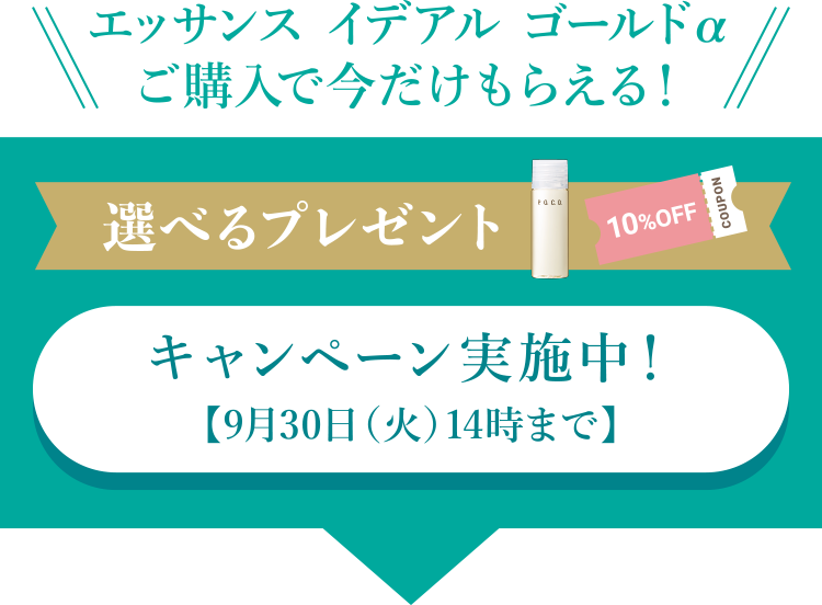 キャンペーン実施中！