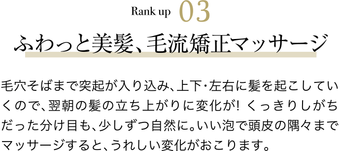 Rank up 03 ふわっと美髪、毛流矯正マッサージ