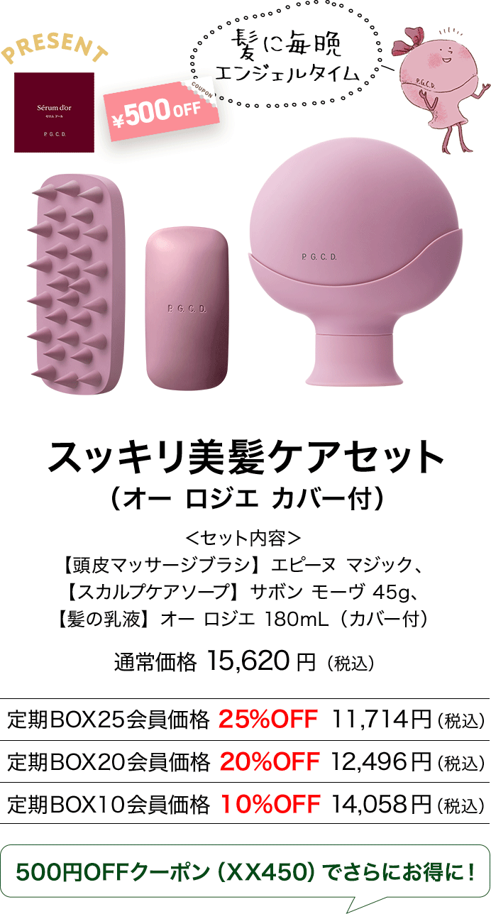 スッキリ美髪ケアセット（カバー付）