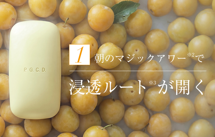 1 朝のマジックアワー※2で浸透ルート※3が開く