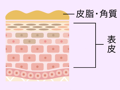 朝の肌