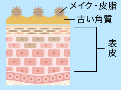 夜の肌