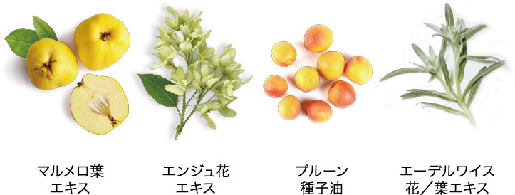 成分