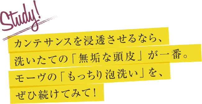 カンテサンスを浸透させるなら、洗っただけの「無垢な頭皮」が一番。モーヴの「もっちり泡洗い」を、ぜひ続けてみて！