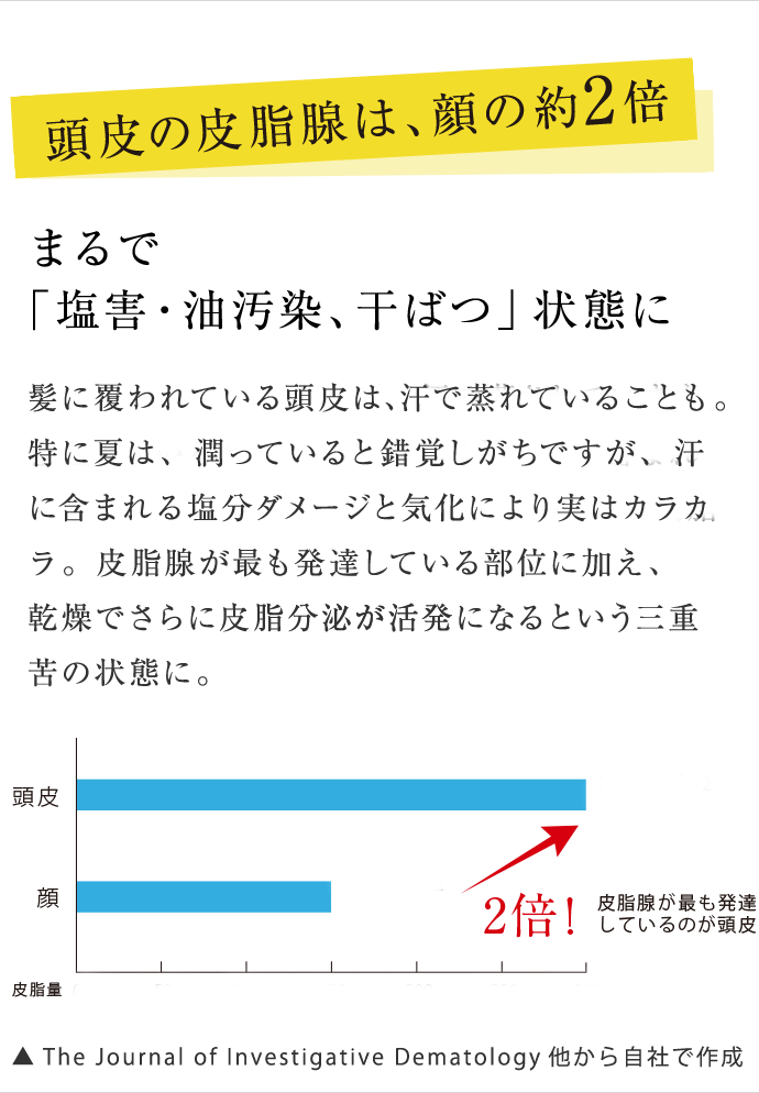 頭皮の皮脂腺は、顔の約2倍 まるで「塩害・油汚染、干ばつ」状態に 髪に覆われている頭皮は、汗で蒸されています。鬱追っていると錯覚しがちですが、汗に含まれる塩分ダメージと気化により実はカラカラ。皮脂腺が最も発達している部位に加え、乾燥でさらに皮脂分泌が活発になるという三重苦の状態に。