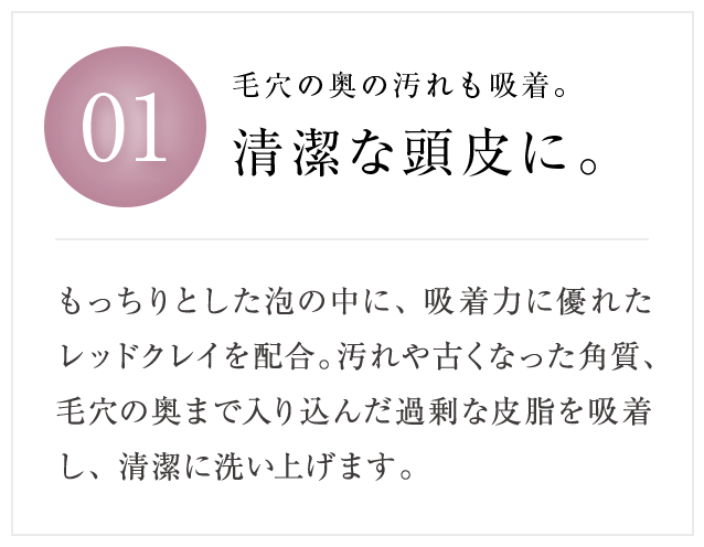 01 毛穴の奥の汚れも吸着。清潔な頭皮に。 もっちりとした泡の中に、吸着力に優れたレッドクレイを配合。汚れや古くなった角質、毛穴の奥まで入り込んだ過剰な皮脂を吸着し、清潔に洗い上げます。