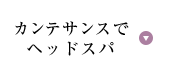 カンテサンスの使い方