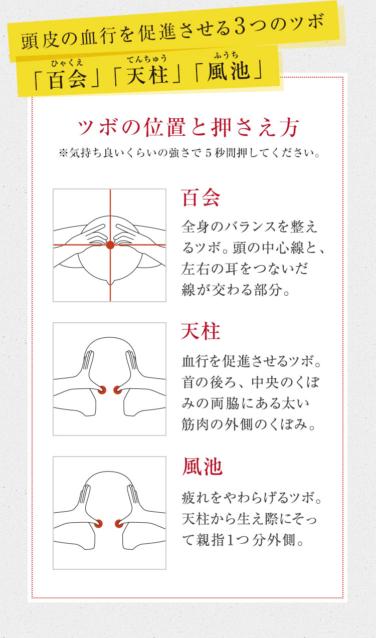 頭皮の血行を促進させる3つのツボ 「百会」「天柱」「風池」ツボの位置と押さえ方 ※気持ち良いくらいの強さで10秒間押してください。 百会 頭の中心線と、左右の耳をつないだ線が交わる部分 天柱 首の後ろ側、中央のくぼみの両脇にある太い筋肉の外側のくぼみ 風池 天柱から生え際にそって親指1つ分外側