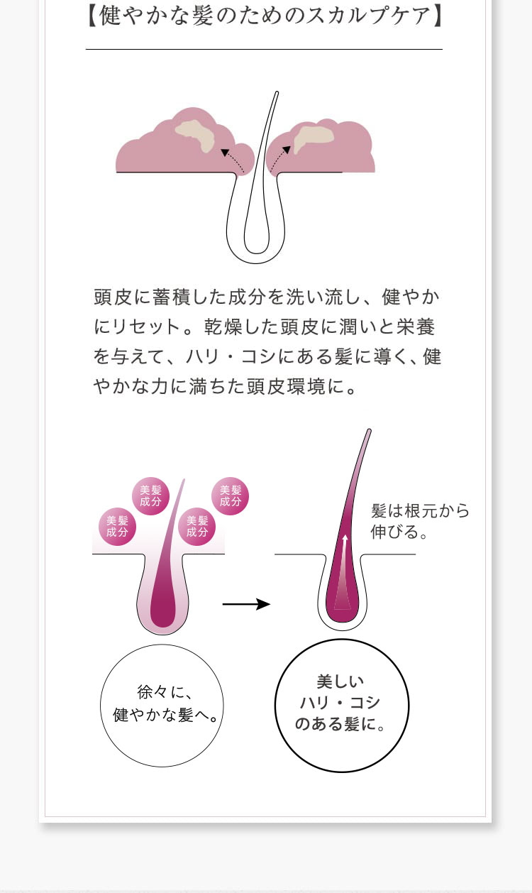 【健やかな髪のためのスカルプケア】頭皮に蓄積した成分を洗い流し、健やかにリセット。乾燥した頭皮に潤いと栄養を与えて、ハリ・コシにある髪に導く、健やかな力に満ちた頭皮環境に。