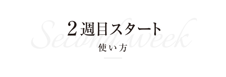 2週目スタート　使い方