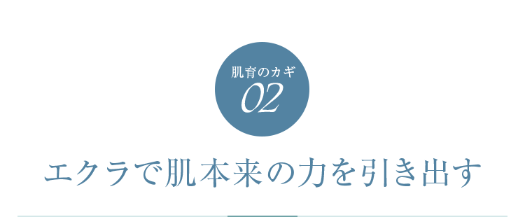 肌育のカギ02　エクラで肌本来の力を引き出す