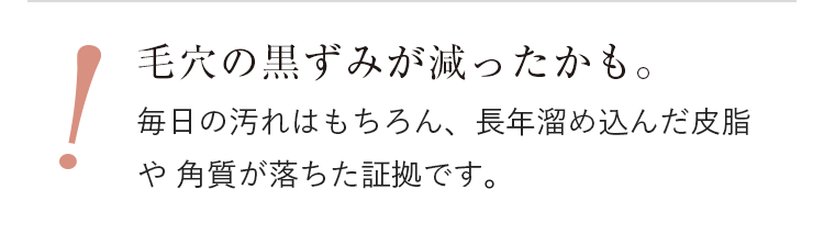 毛穴の黒ずみが減ったかも。毎日の汚れはもちろん、長年溜め込んだ皮脂や 角質が落ちた証拠です。