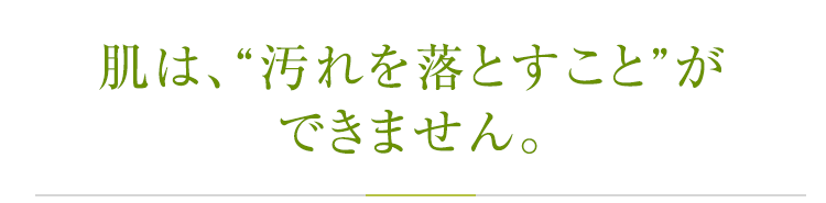 老化原因を除去し、健やかな肌環境に導く。