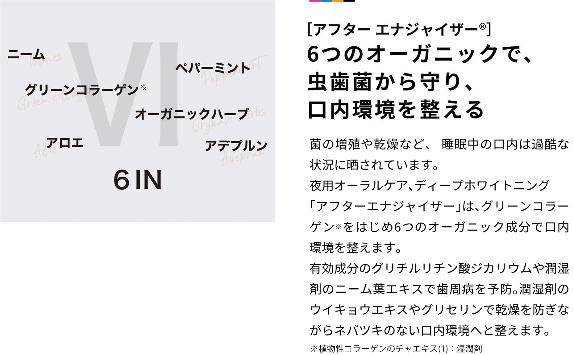 アフター エナジャイザー® 6つのオーガニックで、虫歯菌から守り、口内環境を整える